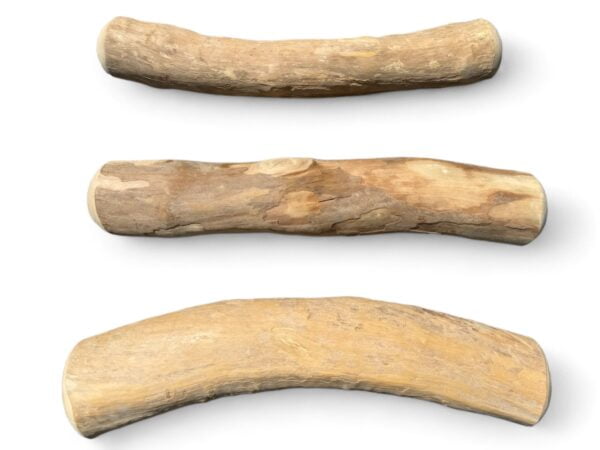 Coffeewood chew