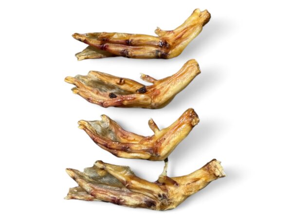 Eendenpootjes