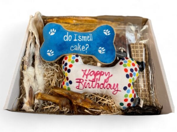 Feest snackpakket met speeltje