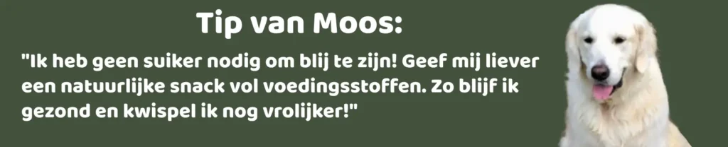 Tip van Moos voor baasjes die honden suiker willen geven