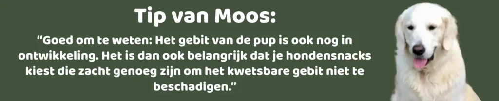 Tip van Moos Snacks en beloningen voor puppies