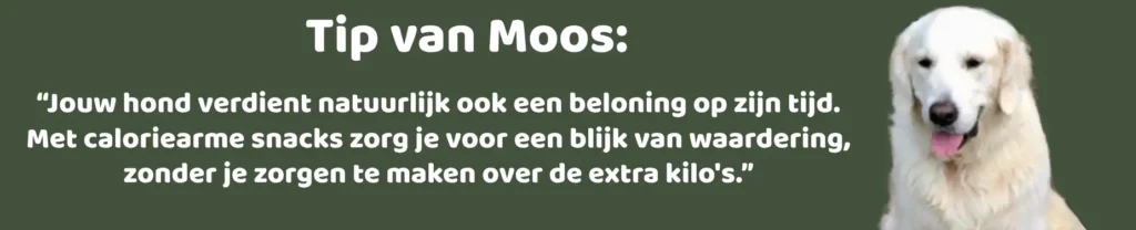 tip van moos Caloriearme snacks voor honden